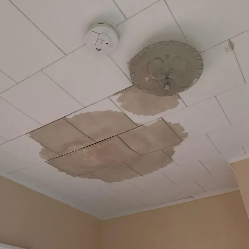 Ceiling Water Damage Repair in Port Vue, PA