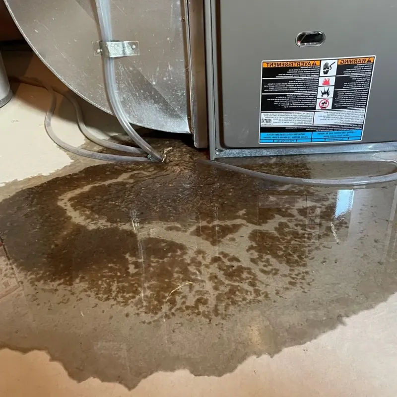 Pipe Burst and Leak Restoration in Port Vue, PA
