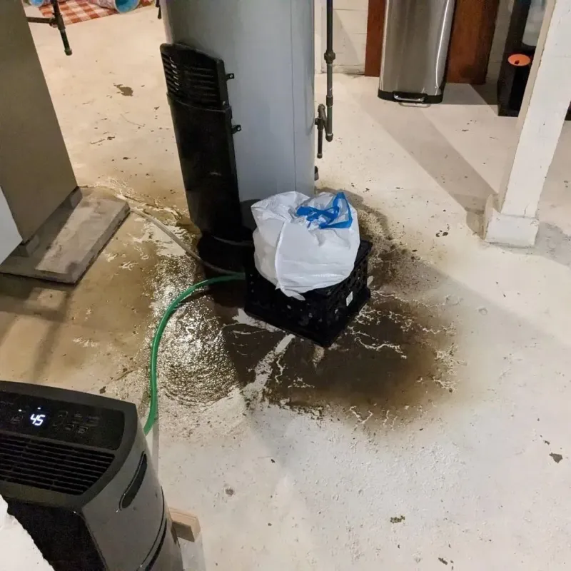 Sewage Backup Cleanup Service in Port Vue, PA